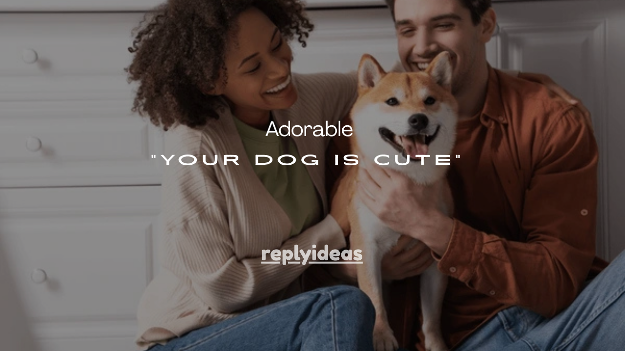 27+ Adorable Ways to Say “Your Dog Is Cute”